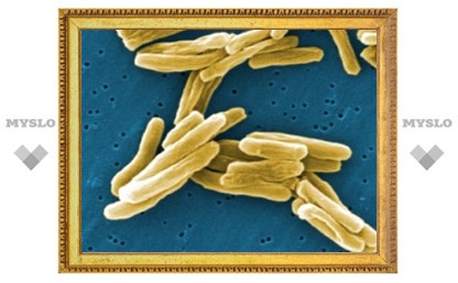 ВОЗ предсказала два миллиона случаев лекарственно-устойчивого туберкулеза к 2015 году