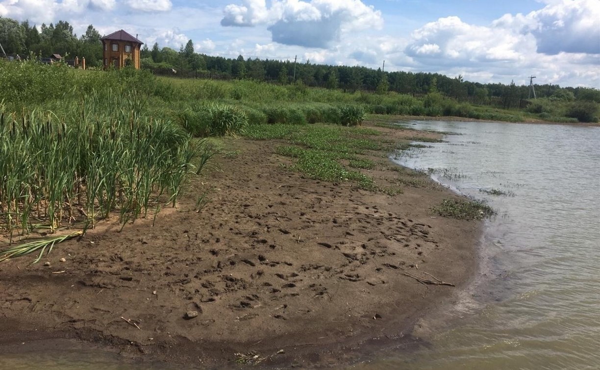 Жители ясногорской деревни: «Москвич уничтожает наш пруд!»