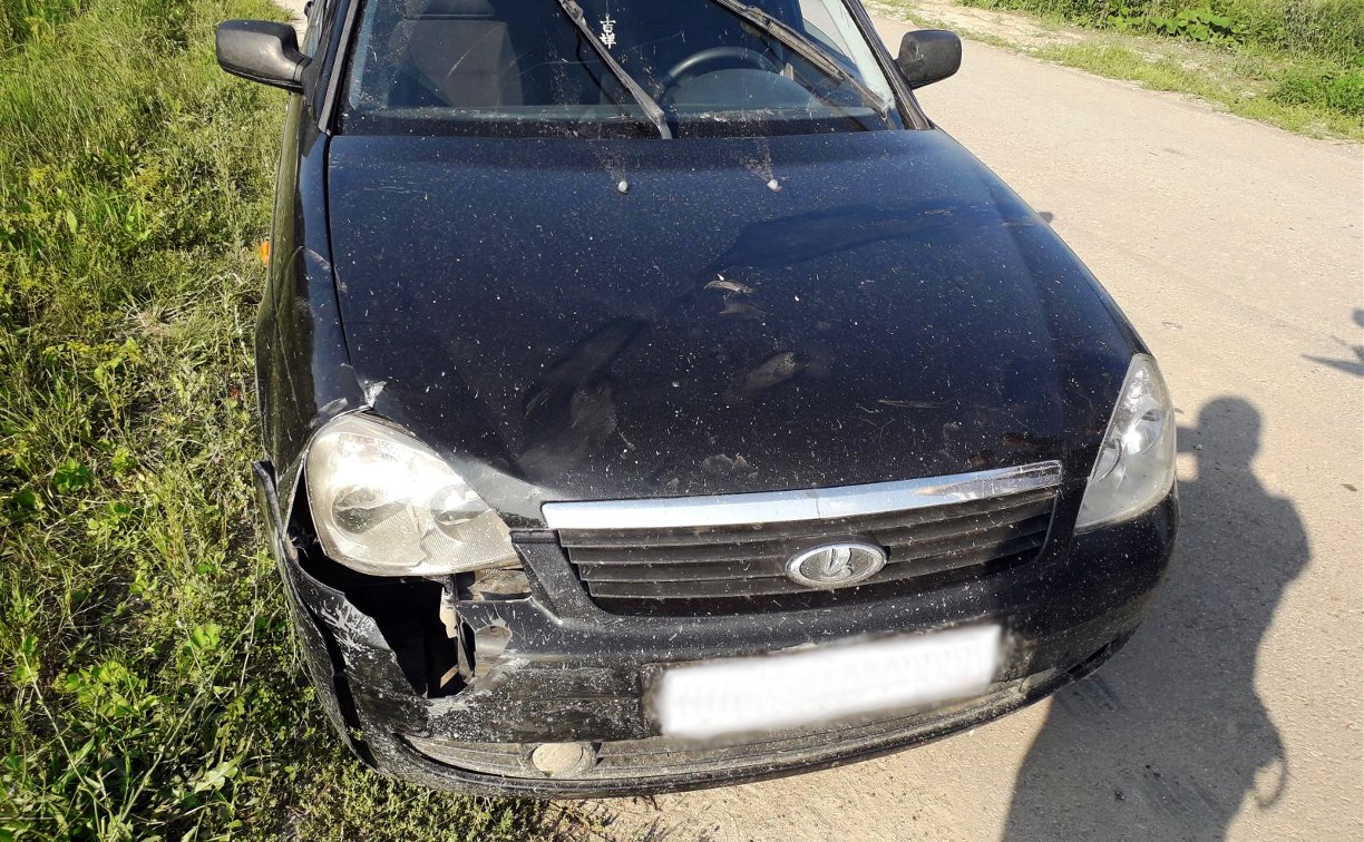 В Суворовском районе пьяный водитель сбил 11-летнюю велосипедистку
