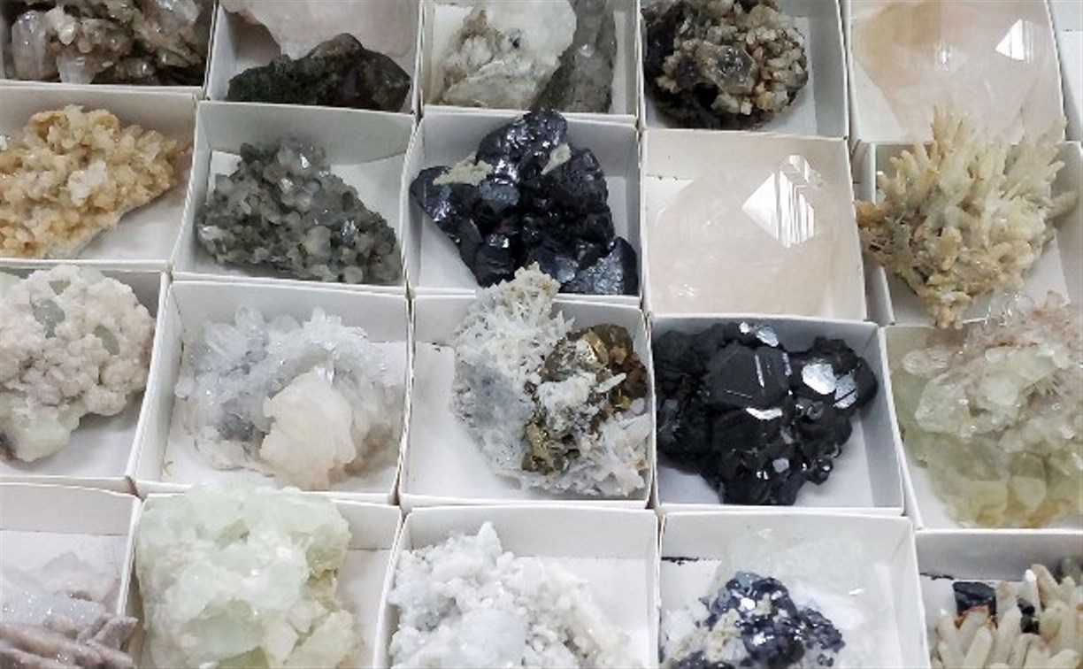 Тульский экзотариум приглашает на выставку минералов