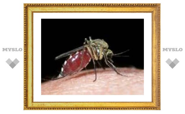 Первая группа крови защищает от осложнений малярии