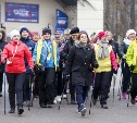 Тульская область поддержала акцию «Ходи, Россия!»