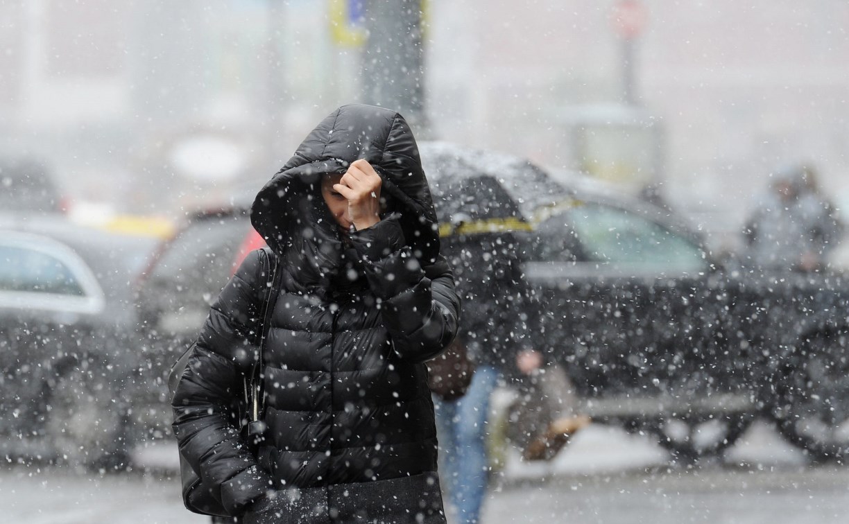 Погода в Туле 12 декабря: снег с дождем и около нуля
