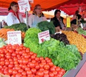 ФАС проверит цены на продовольственных рынках