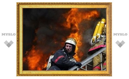 В Туле из пожара спасены два человека