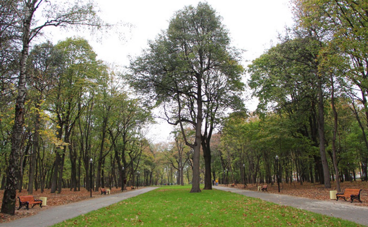 В Рогожинском парке обнаружили гранату времён Великой Отечественной войны