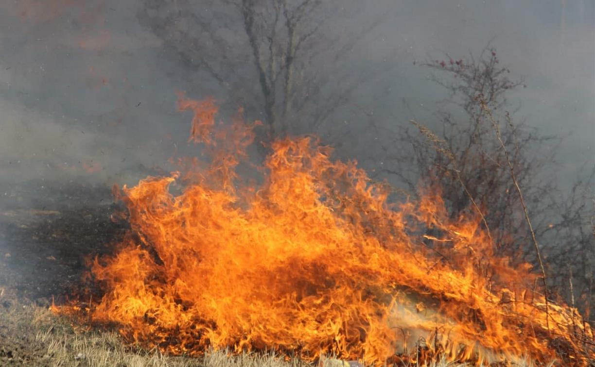 Тульские пожарные ведут космический мониторинг пала травы и пожаров