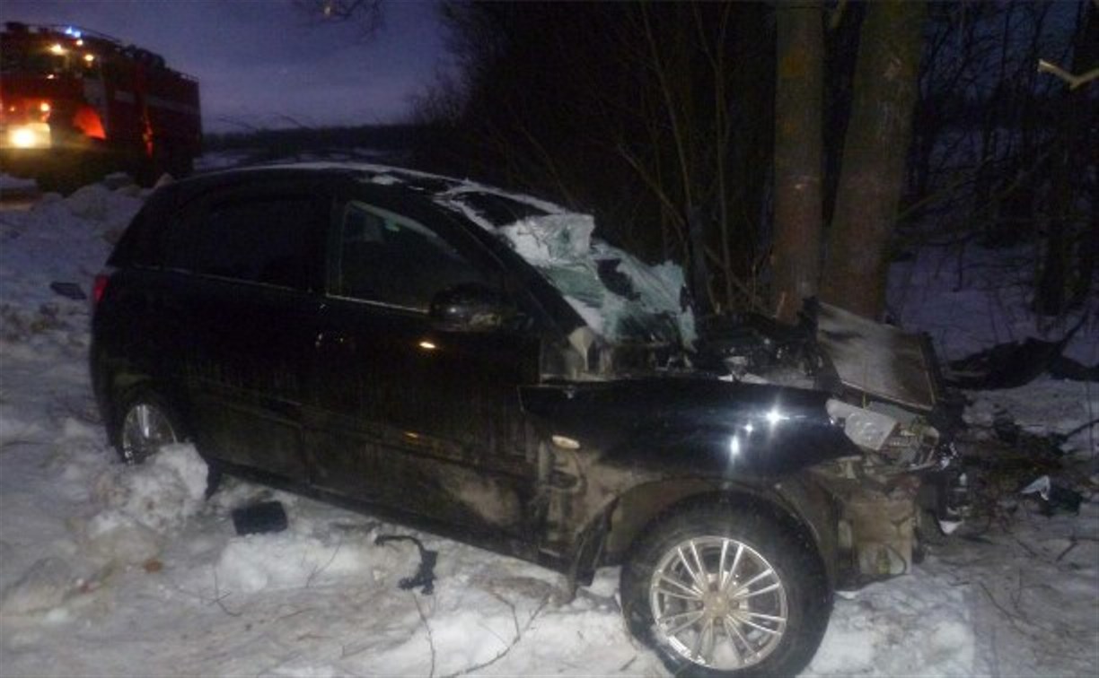 В Ясногорском районе водитель «Киа» врезался в дерево