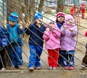 В детских садиках Плавска установят пластиковые окна