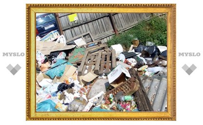 Центр Тулы тонет в мусоре
