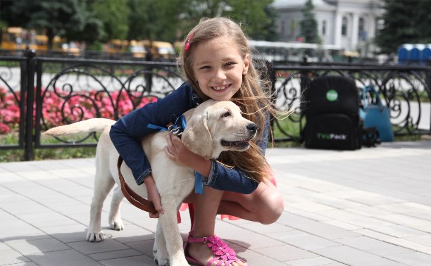 Президент России подарил 7-летней тулячке щенка лабрадора