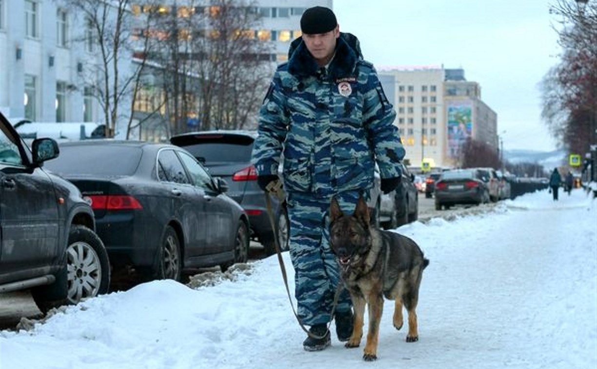 В Туле полицейские со служебными собаками осмотрят избирательные участки