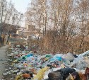 Березовую рощу на Косой Горе очистят от мусора