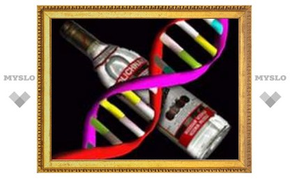 Алкоголизм будут лечить генной терапией