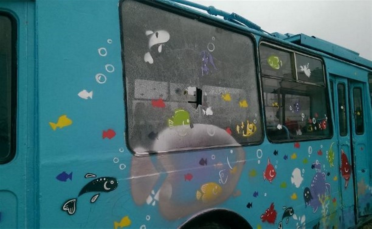 В троллейбусе на набережной Упы разбили стекло