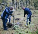 В Тульской области пройдет акция «Сохраним лес»