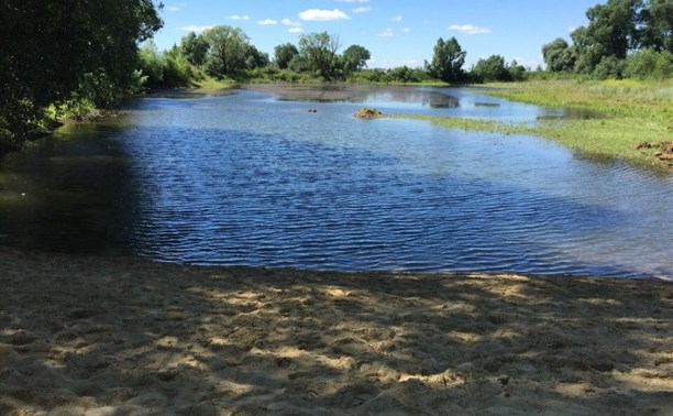 Школьница из Тульской области получила 100 000 рублей на восстановление пруда