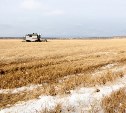 В Тульской области объявлена чрезвычайная ситуация по сельскому хозяйству