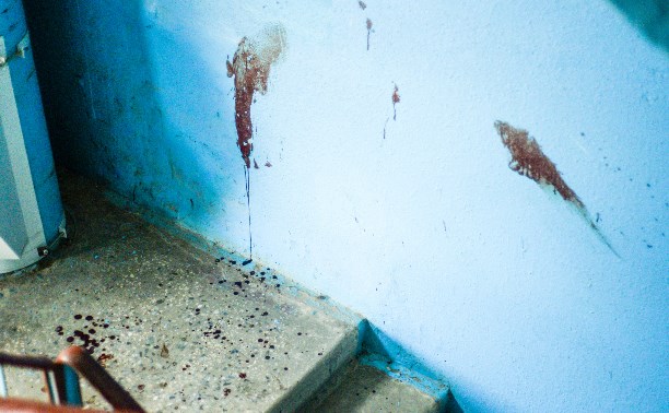 Зверское убийство в Туле: женщина сама сообщила имя убийцы