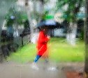 Погода в Туле 23 июля: облачно, дождливо и тепло