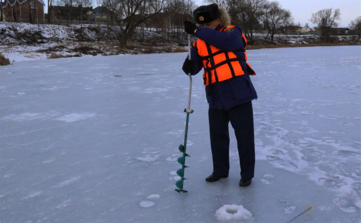 Лёд на пруду в Центральном парке признали безопасным 