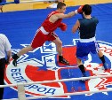 Тульские боксёры вышли в финал турнира в Белгороде