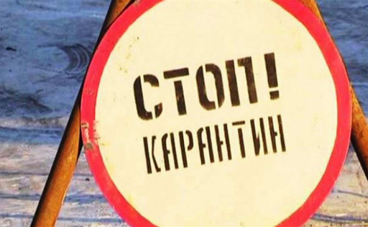 На территории предприятия в Новомосковске введен карантин по бешенству