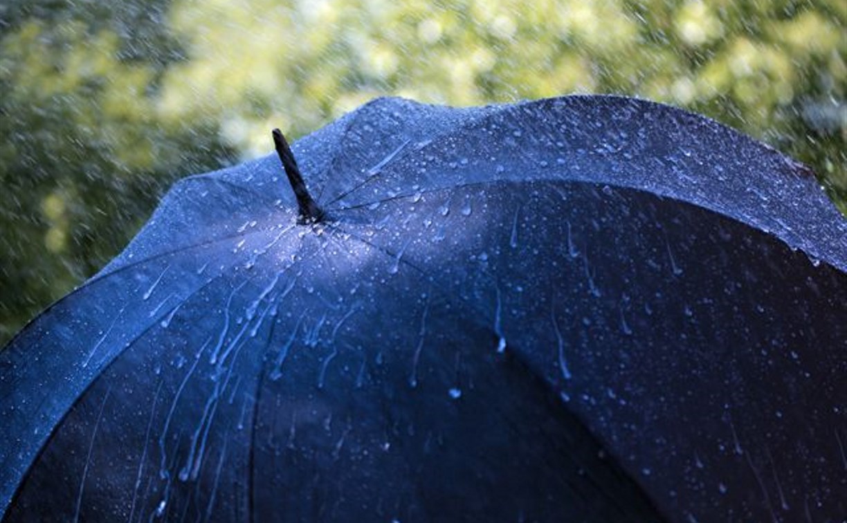 14 июля в Туле ожидается дождь