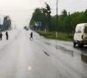 На ул. Октябрьской в Туле сняли на видео миграцию «пешехамов»