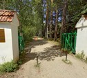 Музей-усадьбу Поленово в Тульской области можно посетить виртуально 