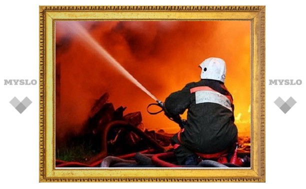 В Тульской области будут созданы круглосуточные подразделения добровольных пожарных