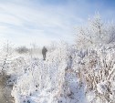 В понедельник в Тульской области будет морозно и без осадков