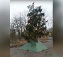 Жителей Новомосковска пугает «босяцкая» новогодняя елка