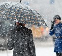 В понедельник в Туле ожидается снег с дождём
