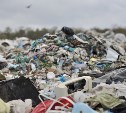 В Щекинском районе свозят отходы на закрытый мусорный полигон