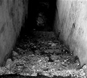 В Веневском районе в подвале дома обнаружен труп молодой девушки