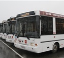 К весне в Туле появится 50 новых автобусов