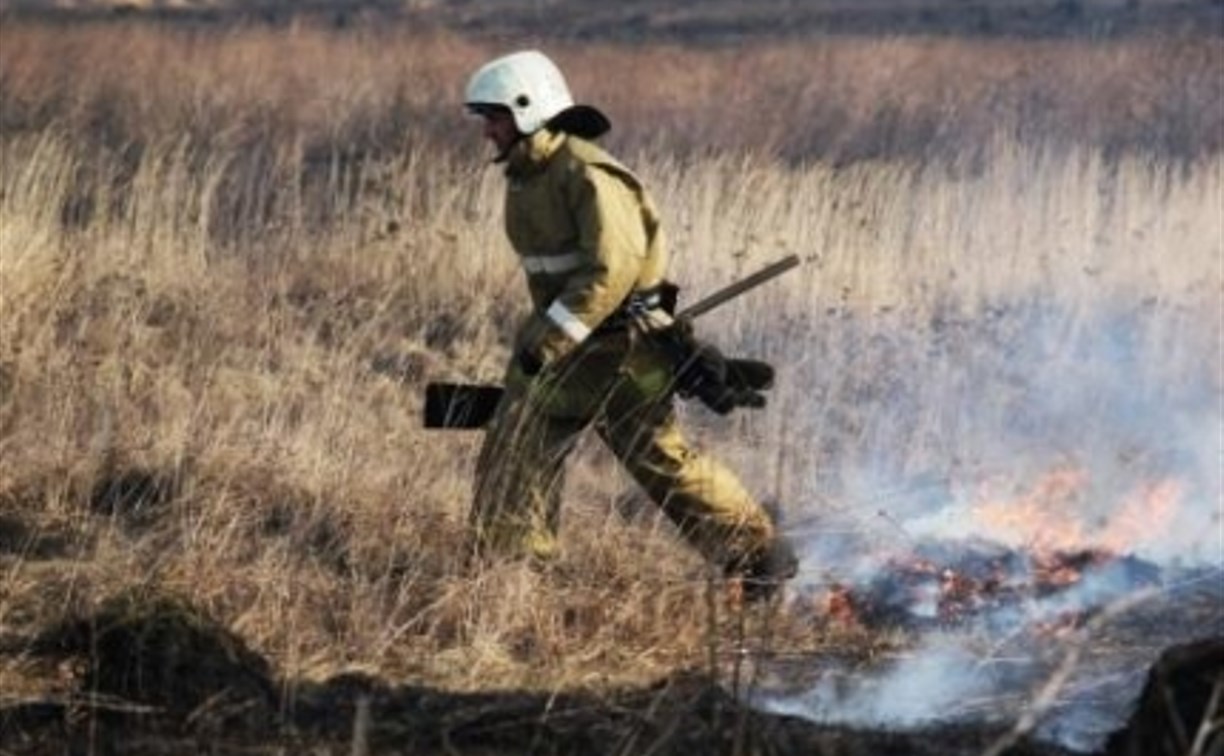 В Тульской области штрафуют поджигателей сухой травы