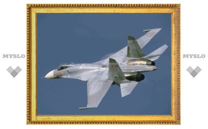 Дачникам предложили убрать обломки Су-27 за свой счет
