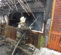 При пожаре в Мясново погибла женщина