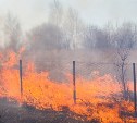 За выходные сотрудники МЧС 400 раз выезжали на пожары в полях