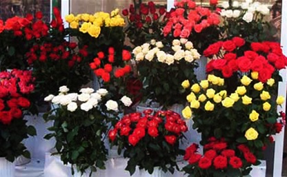 8 марта в Туле заработали цветочные ярмарки