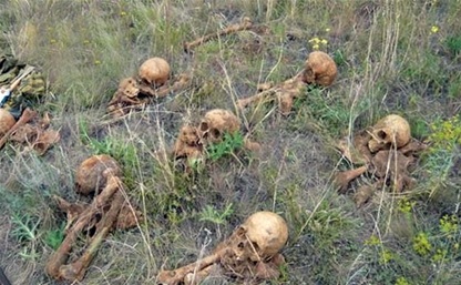 Тульские поисковики помогли обнаружить останки 66 Героев ВОВ