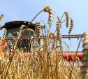 Тульские аграрии начали получать денежную компенсацию за погибший урожай