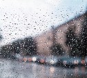 Погода в Туле 31 июля: прохладно, ветрено, местами дождь