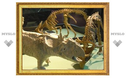В Туле пройдет выставка останков доисторических животных нашего края