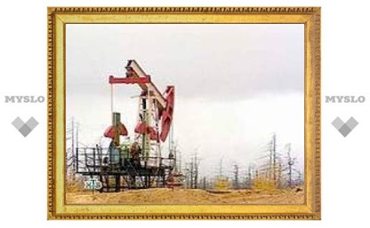 Роснедра пообещали в 2007 году раздать 300 нефтегазовых лицензий