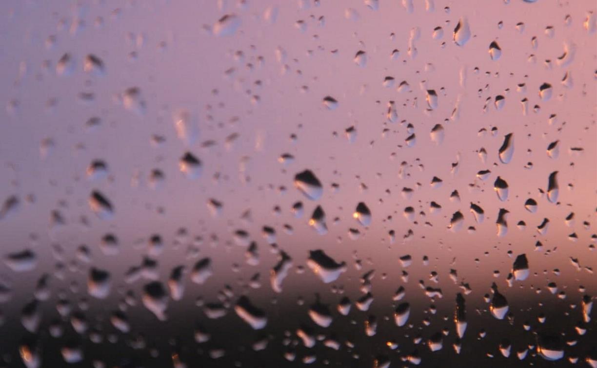 Погода в Туле 8 июня: грозы, дожди и до +25