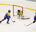 Детский хоккейный турнир в Новомосковске откроют звёзды советского хоккея 