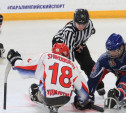 В Алексине завершился чемпионат России по следж-хоккею
